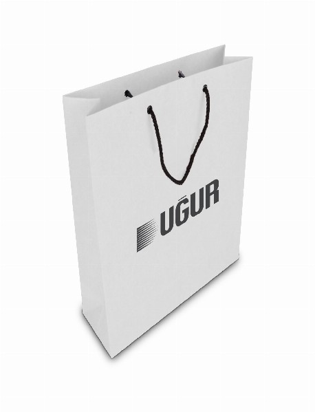 ALA-56 KÜÇÜK BOY KARTON ÇANTA(24x25.5x8,5 cm)