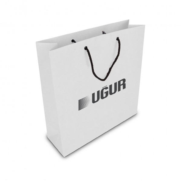 ALA-56 KÜÇÜK BOY KARTON ÇANTA(24x25.5x8,5 cm)