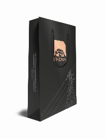 ALA-55 BÜYÜK BOY DİKEY KARTON ÇANTA(39.5x25.5x8cm) ALA-55 BÜYÜK BOY DİKEY KARTON ÇANTA(39.5x25.5x8cm)