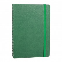 ANITTEPE YEŞİL TARİHLİ GİZLİ SPİRALLİ AJANDA (17X24 CM) ANITTEPE YEŞİL TARİHLİ GİZLİ SPİRALLİ AJANDA (17X24 CM)