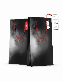 ALA-43 BÜYÜK BOY DİKEY KARTON ÇANTA ALA-43 BÜYÜK BOY DİKEY KARTON ÇANTA