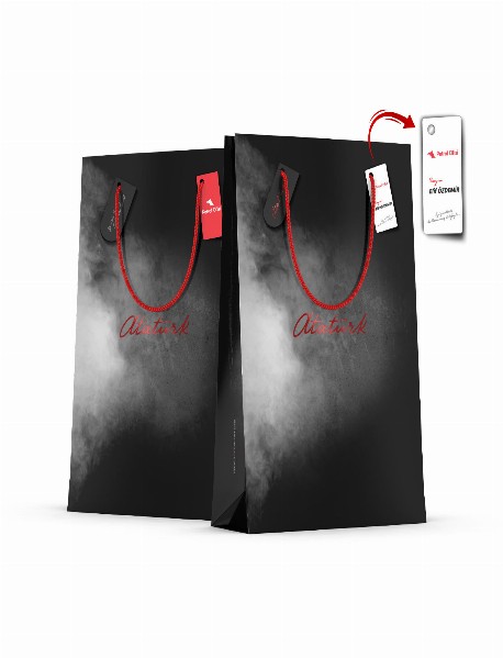 ALA-43 BÜYÜK BOY DİKEY KARTON ÇANTA ALA-43 BÜYÜK BOY DİKEY KARTON ÇANTA