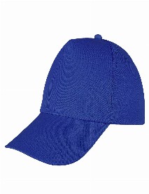 PAPATYA SAKS MAVİ POLYESTER ŞAPKA PAPATYA SAKS MAVİ POLYESTER ŞAPKA