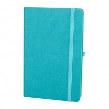 DIŞKAPI TURKUAZ TARİHSİZ DEFTER (13X21 CM)