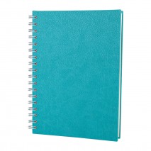ELMADAĞ TURKUAZ TARİHLİ SPİRALLİ AJANDA (17X24 CM) ELMADAĞ TURKUAZ TARİHLİ SPİRALLİ AJANDA (17X24 CM)