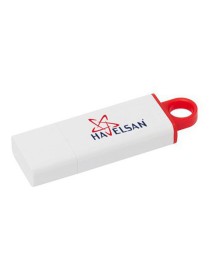 MENGÜCEKLİLER PLASTİK USB BELLEK (16 GB)