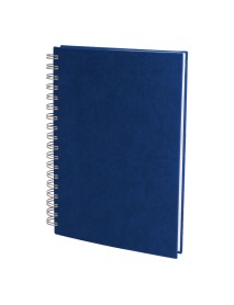 ALTINDAĞ LACİVERT KARELİ TARİHSİZ DEFTER (17X24 CM)