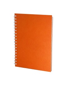 ALTINDAĞ TURUNCU KARELİ TARİHSİZ DEFTER (17X24 CM)