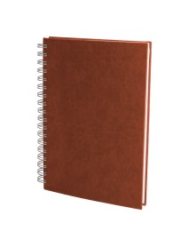 ALTINDAĞ TABA KARELİ TARİHSİZ DEFTER (17X24 CM)