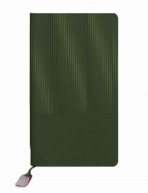 DİKMEN YEŞİL TARİHSİZ DEFTER (15X21 CM) DİKMEN YEŞİL TARİHSİZ DEFTER (15X21 CM)