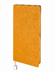 MALTEPE TURUNCU TARİHSİZ DEFTER (13X21 CM) MALTEPE TURUNCU TARİHSİZ DEFTER (13X21 CM)