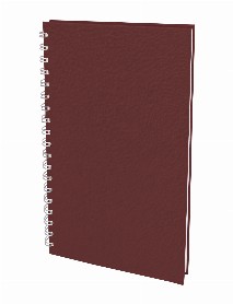 SEĞMENLER TABA KARELİ SPİRALLİ TARİHSİZ DEFTER (19X25 CM) SEĞMENLER TABA KARELİ SPİRALLİ TARİHSİZ DEFTER (19X25 CM)